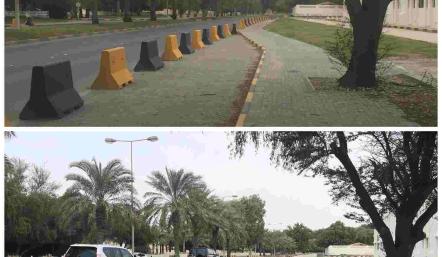 بلدية "الجنوبية" تستبدل الحواجز الإسمنتية بـأحواض زراعية في شارع الشيخ سلمان