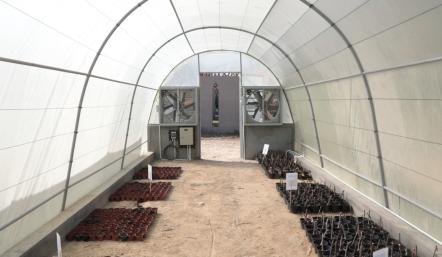 البلدية الجنوبية تنفذ مشتلاً للنباتات المتنوعة في حديقة خليفة الكبرى