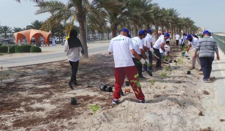 البلدية الجنوبية وشركة يوكو جاوا تشرفان على حملة التشجير في ممشى المعسكر