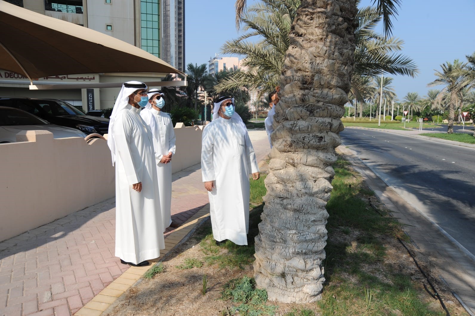 فحص 2000 نخلة