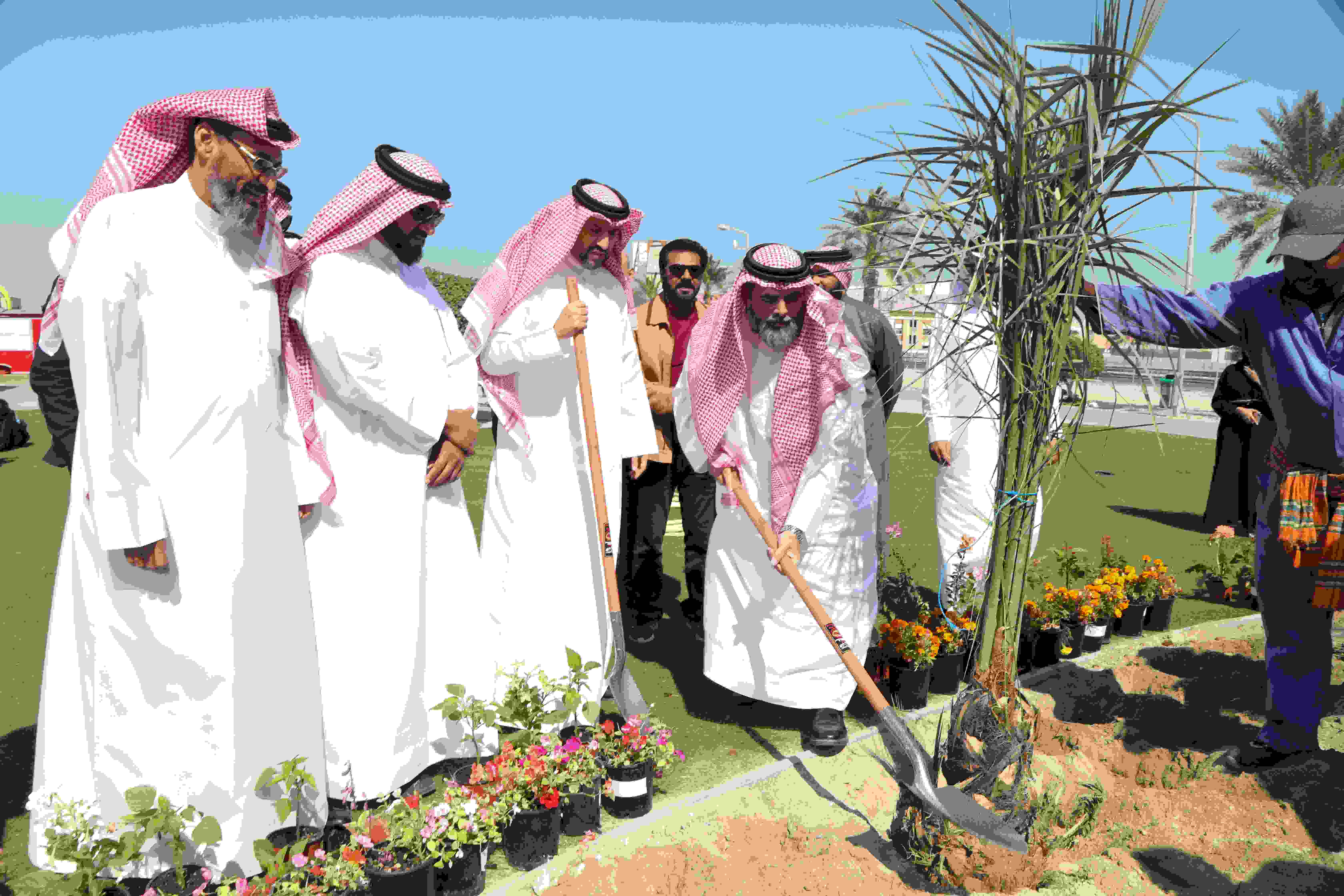 اسبوع الشجرة