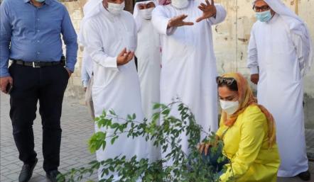 مجلس أمانة العاصمة ومركز تمكين شباب رأس الرمان يطلقان مشروع "أمام كل بيت شجرة"