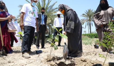 مبادرة الغابة المصغرة