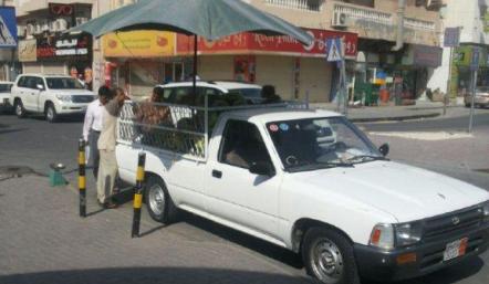 بلدية الجنوبية تضبط 30 من الباعة الجائلين في الرفاع الشرقي