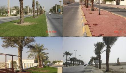 زراعة وتجميل الشوارع والطرق الرئيسية ضمن الخطة التجميلية لبلدية المنطقة الجنوبية لعام 2008