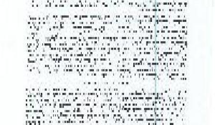 تقليص الدوائر الانتخابية البلدية