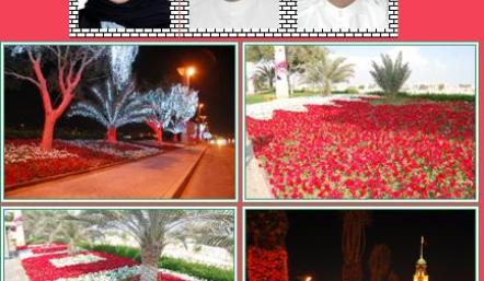 بمناسبة العيد الوطني المجيد وعيد الجلوس... الجنوبية تزين شوارع المحافظة بالإنارة الليلية والأزهار