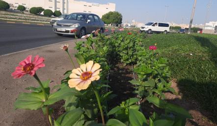 flower1