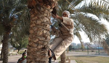 فعالية أصدقاء الحدائق 